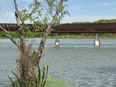 -昆山城市生态森林公园
