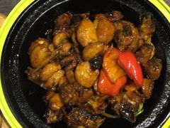 三杯鸡-青叶202都市餐厅(迪诺水镇店)