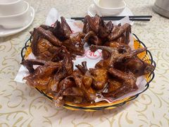 -百利鸽王(紫薇路店)