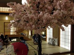 -汤泉良子(金源店)