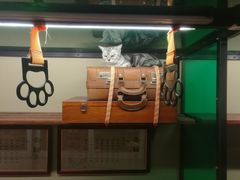 景点-猫咪博物馆(顶澳仔猫街店)