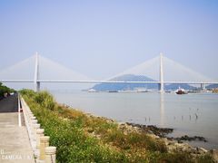 -芒洲湿地公园