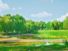 -北坞公园
