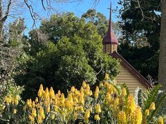 -墨尔本皇家植物园