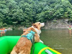 -安吉龙王山峡谷漂流