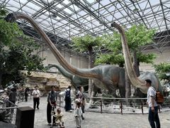 -国家自然博物馆