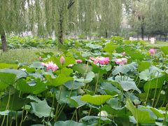 -唐山抗震纪念碑广场