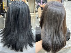 点击看大图 -KS COLOUR漂色·染发·画染