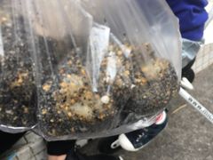 -叶氏麻糍(鼓浪屿店)
