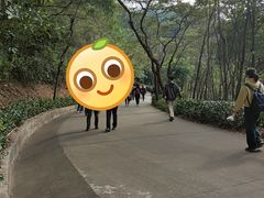 -田心森林公园