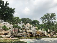 -东莞植物园