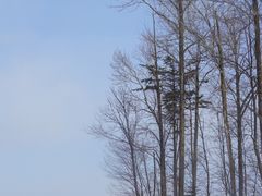 -长白山万达国际度假区