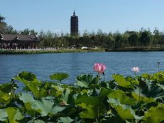 -西海子公园