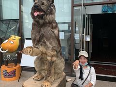-大戚收音机电影机博物馆