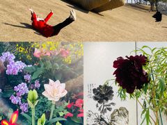 -上海辰山植物园
