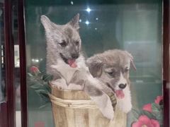-浙江省博物馆(孤山馆区)