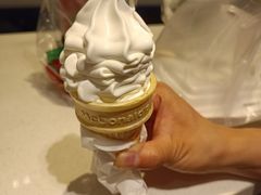 -麦当劳(红旗路店)