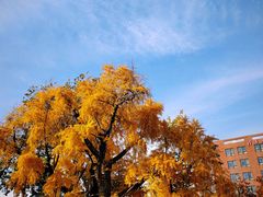 -清华大学玉泉医院