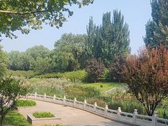 -大望京公园