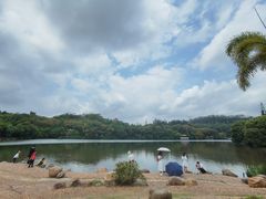 -深圳仙湖植物园