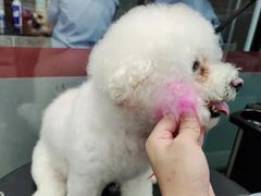 -宠物家(大兴旧宫店)