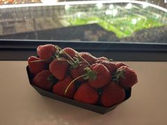 -阪急百货店(梅田总店)