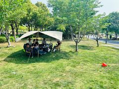 -贡湖湾湿地公园