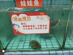 -天怡·鱼工厂(梅溪湖店)