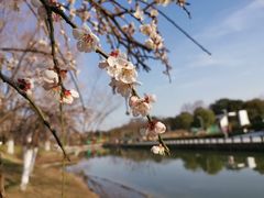 -白塘生态植物园