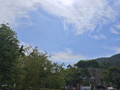 -海南霸王岭国家森林公园