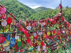 -西双版纳原始森林公园