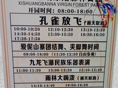 -西双版纳原始森林公园