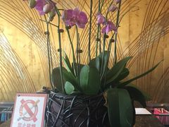 -大榭国际大酒店