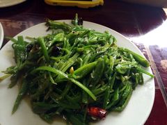 炒海菜-苍洱春饭店
