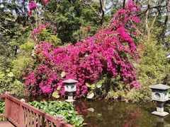 -深圳国际园林花卉博览园