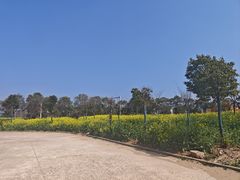 -湖畔人家•老溧阳菜馆(茅山景区外店)