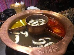 -老诚一锅羊蝎子(黄寺大街店)