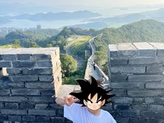 -黄贤森林公园