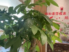 -周家二小姐的菜·扬州菜·香炒蟹·狮子头(江都金鹰店)