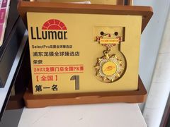 -车艺尚上海龙膜隐形车衣汽车贴膜旗舰店