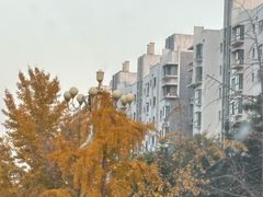-浮来山风景区
