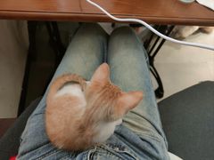 -初甜·舒芙蕾·韩式雪花冰(流塘店)