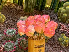 -九村烤脑花(大石坝总店)