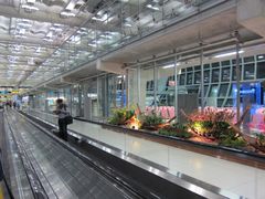 -曼谷素万那普国际机场