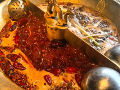 -小龙翻大江文化火锅(宽窄店)