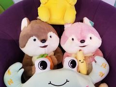 -PAWTOY爪e玩偶店(天兴罗斯福店)