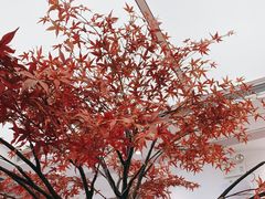 -艾薯夫妇Aysh(福田星河COCOPark店)