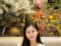 -Wood Garden(合生汇店)