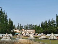 -前小桔亲子创意农场·草莓采摘·露营烧烤
