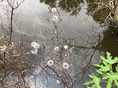 -黄陂区野村谷景区